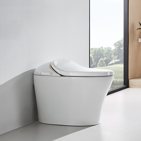 Bồn cầu | Toilet