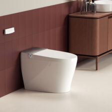 Bồn cầu thông minh